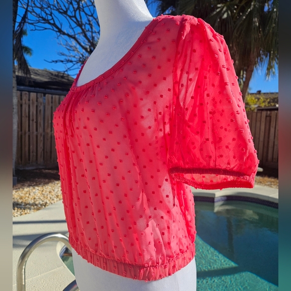 NEW Socialite Pink Sheer Blouse Size XS Feminine Romantic Cocquette Girl Summer - Picture 4 of 12